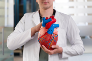 Coeur tenu dans les mains d'un médecin maladies cardiovasculaires 